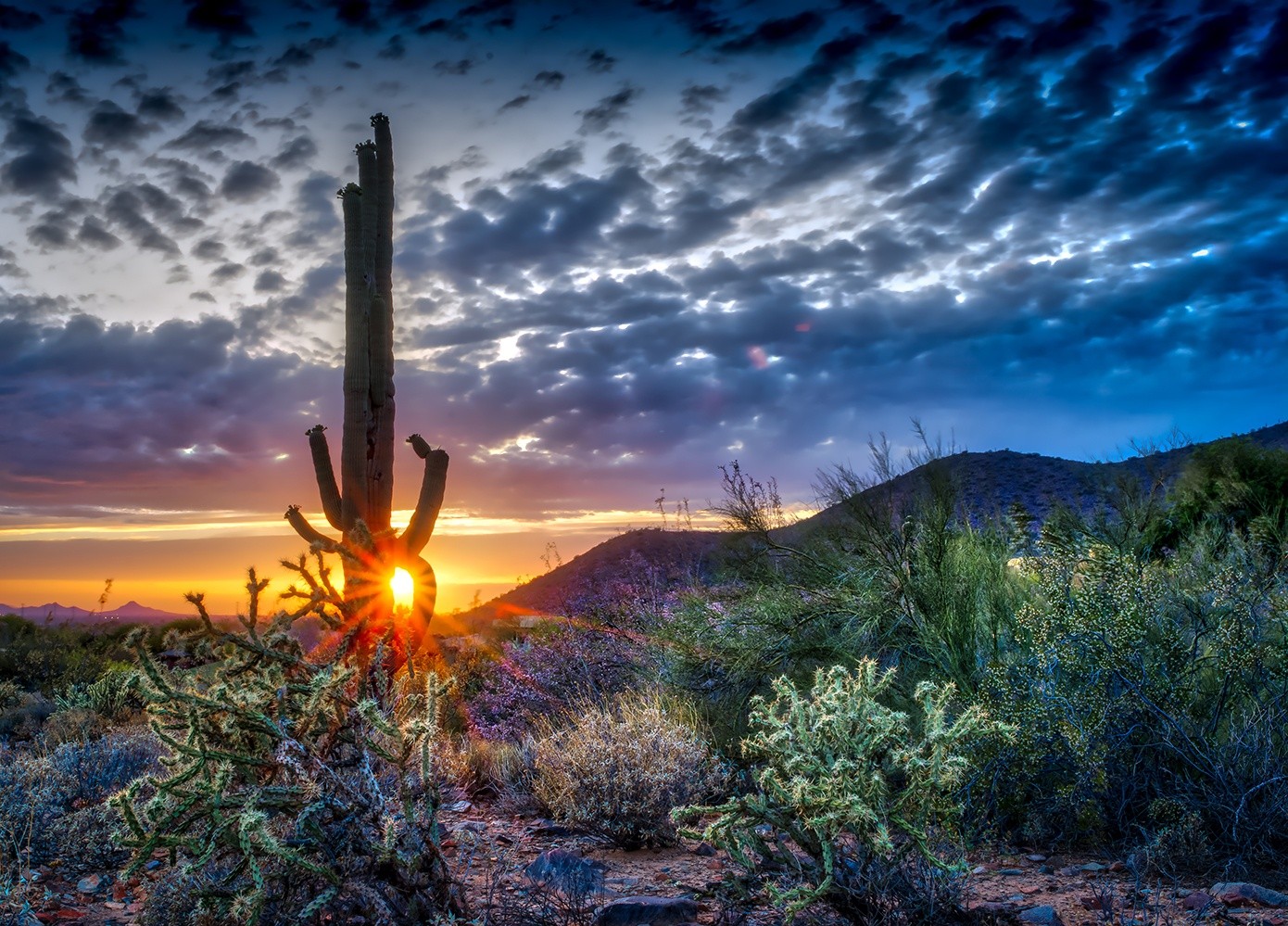 scottsdale