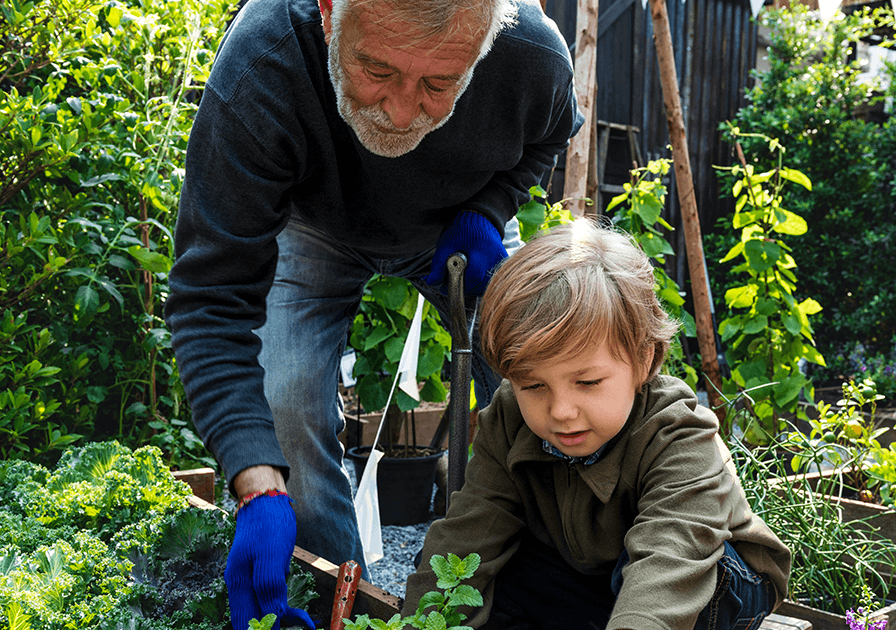 gentleman and grandson in garden